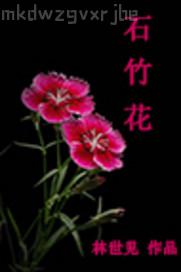 小說性奴調(diào)教