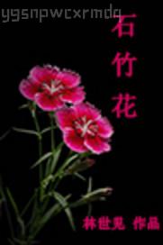 小說我分開了舅媽的腿